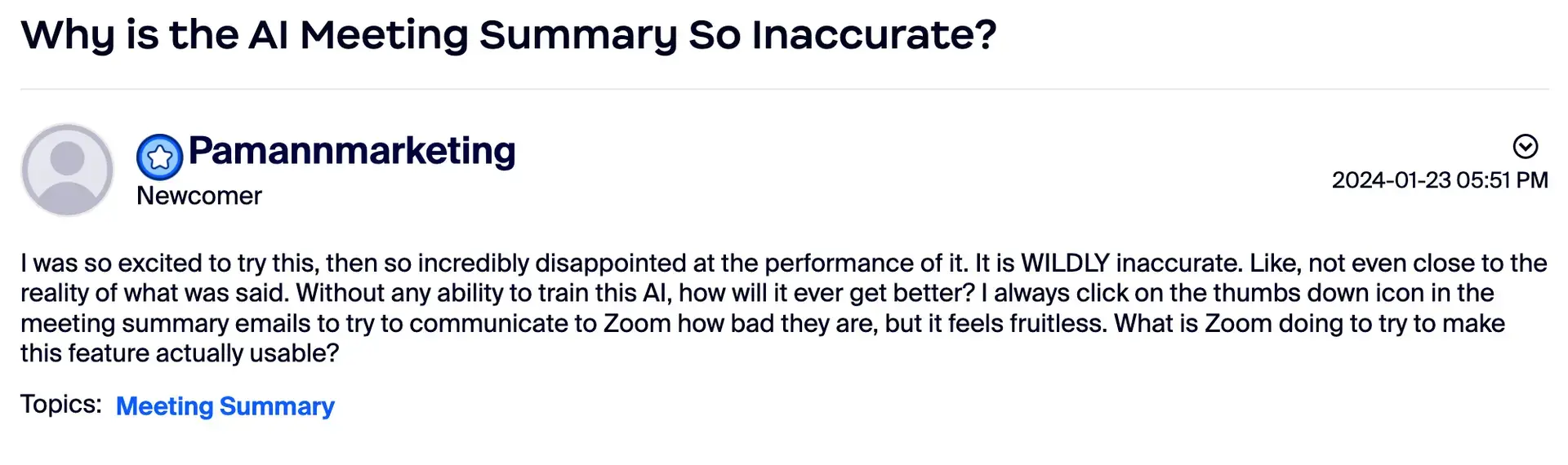 Zoom ai companion review